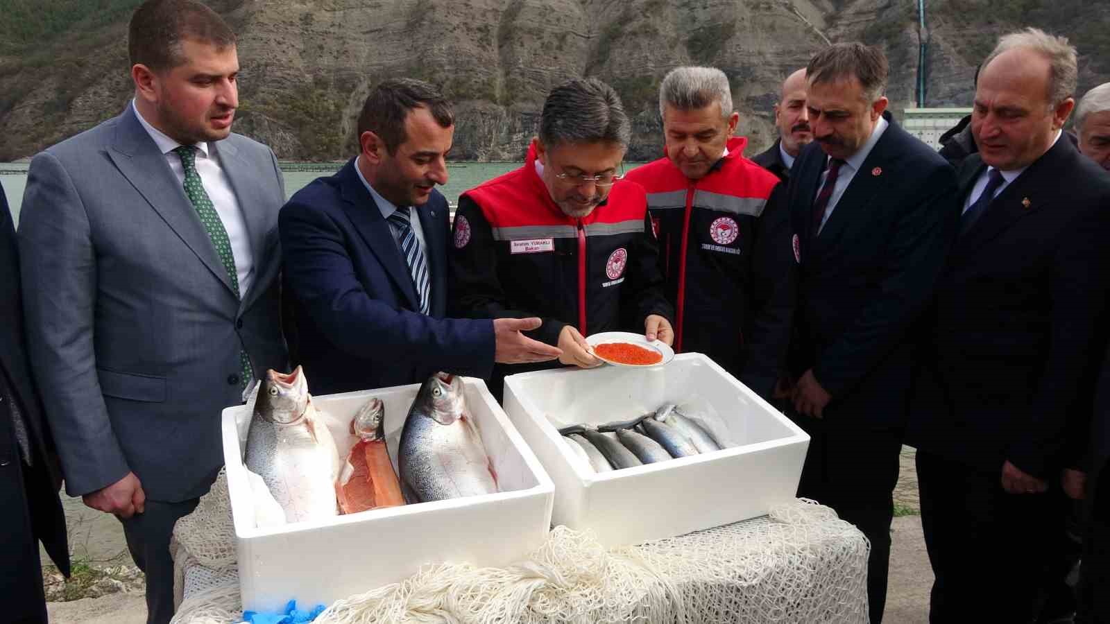 bakan yumakli turk somonu ihracati 500 milyon dolara ulasti 5 JdYWCZbR