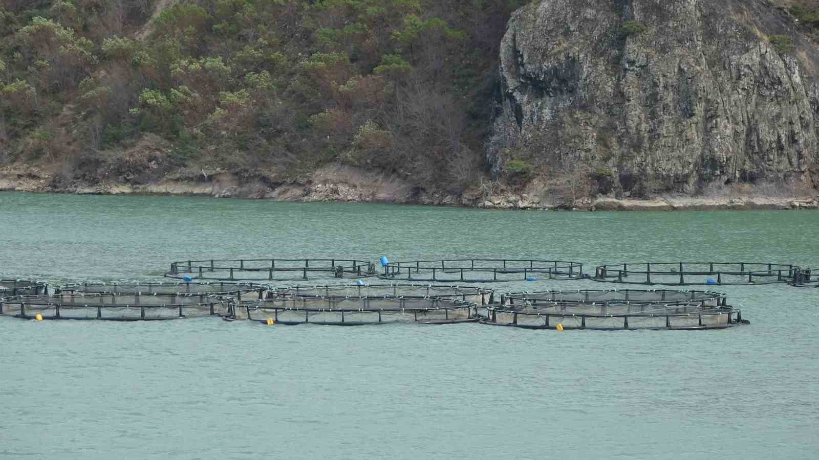 bakan yumakli turk somonu ihracati 500 milyon dolara ulasti 6 ifzNUXcf