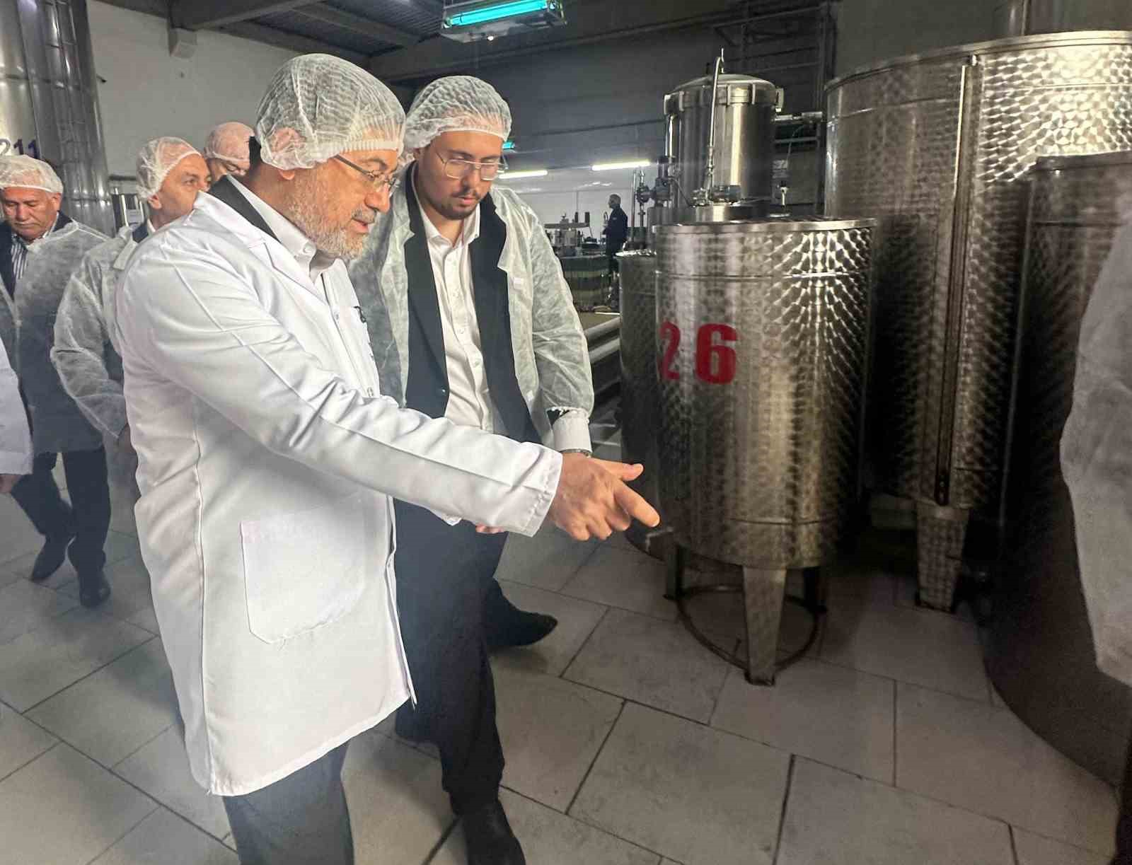 bakan yumakli zeytinyagi uretim tesislerinde incelemede bulundu 2 mz7Jd92V