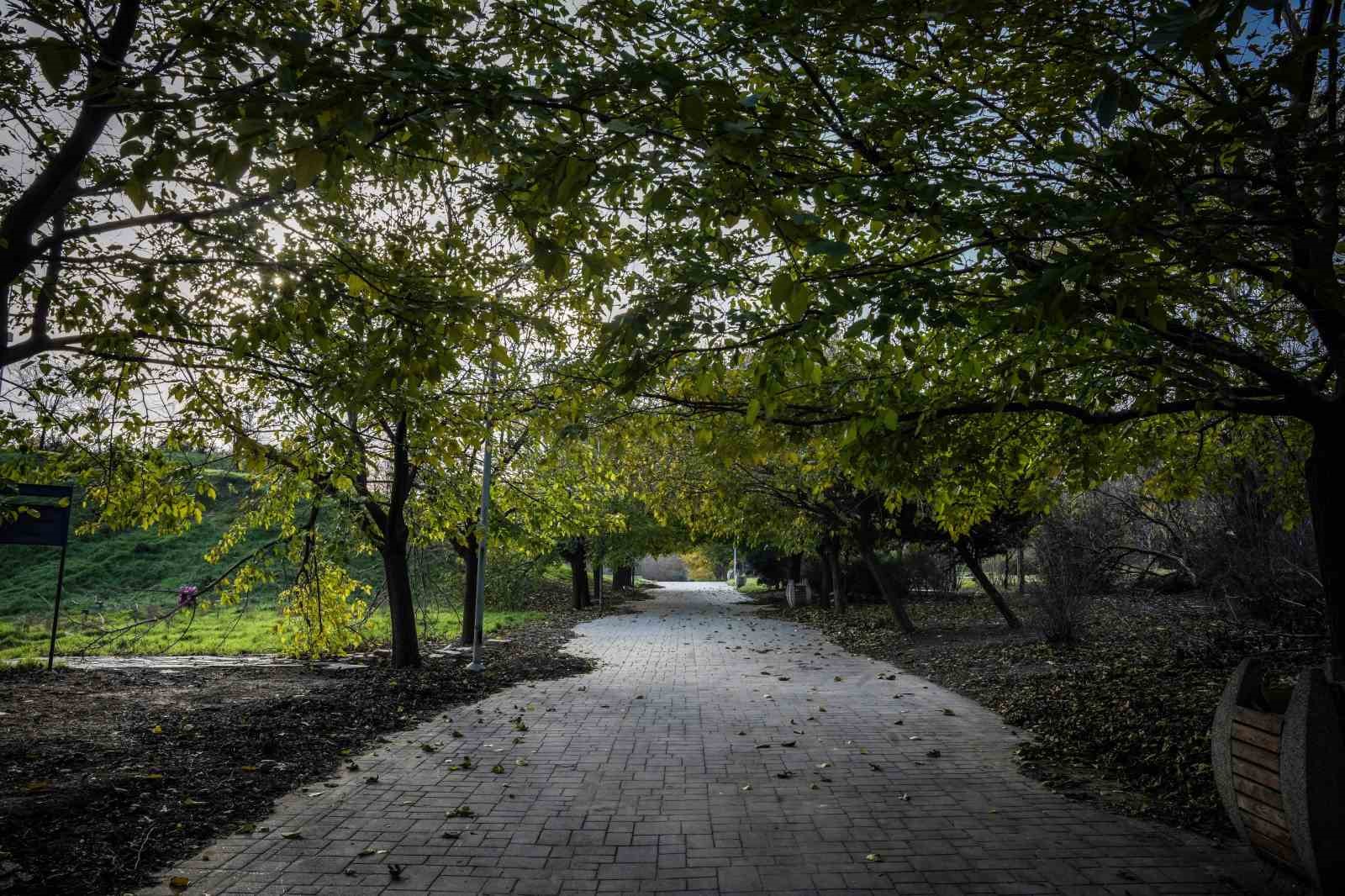 bakirkoy botanik park bakimsizliga mahkum edildi 2 hg7OhjbA