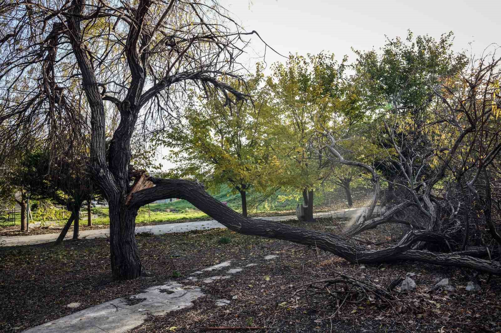 bakirkoy botanik park bakimsizliga mahkum edildi 5 zJefisXO