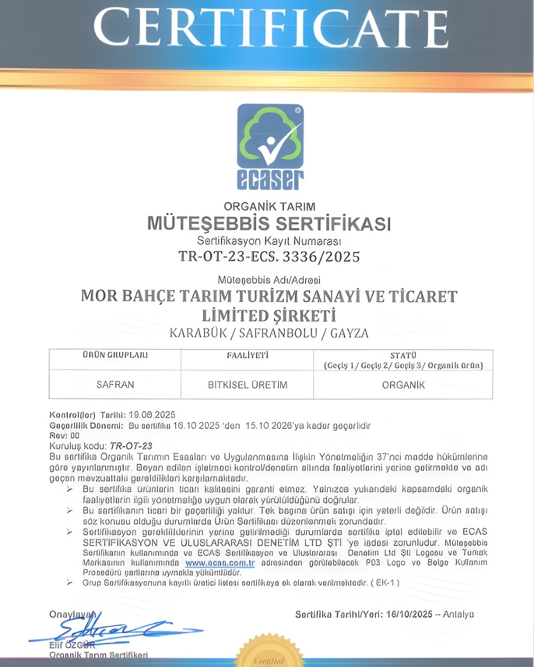 bakka destekleriyle safran uretiminde organik uretime gecildi 0 6HqX9Dzb