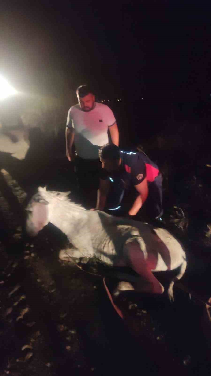 balciga saplanan esek vincle kurtarildi 0 BsQf9KAY