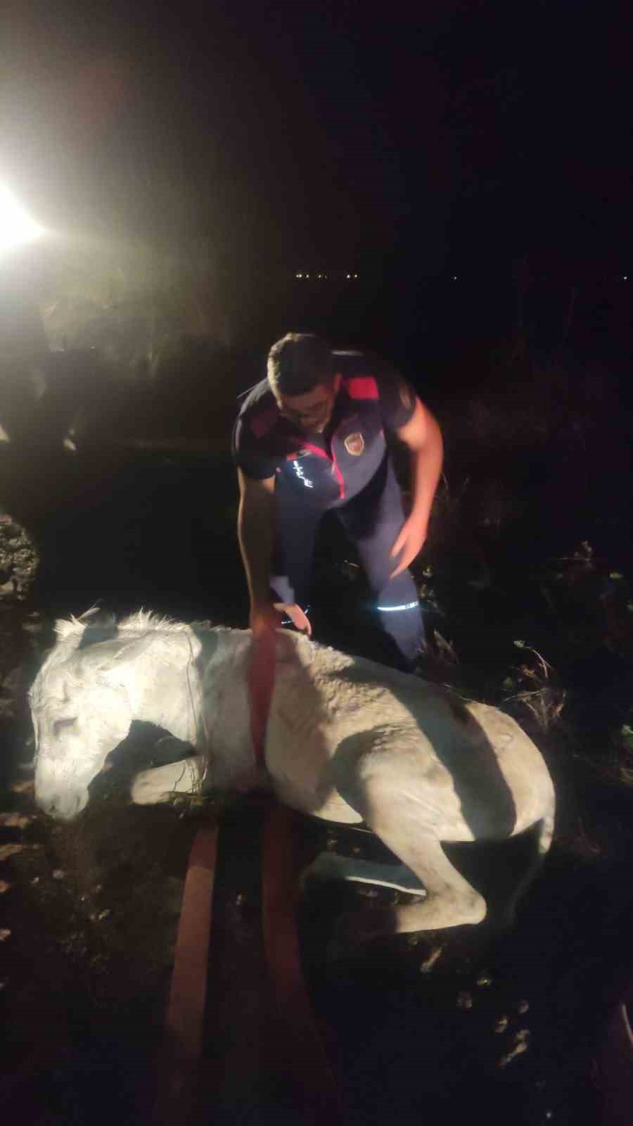 balciga saplanan esek vincle kurtarildi 5