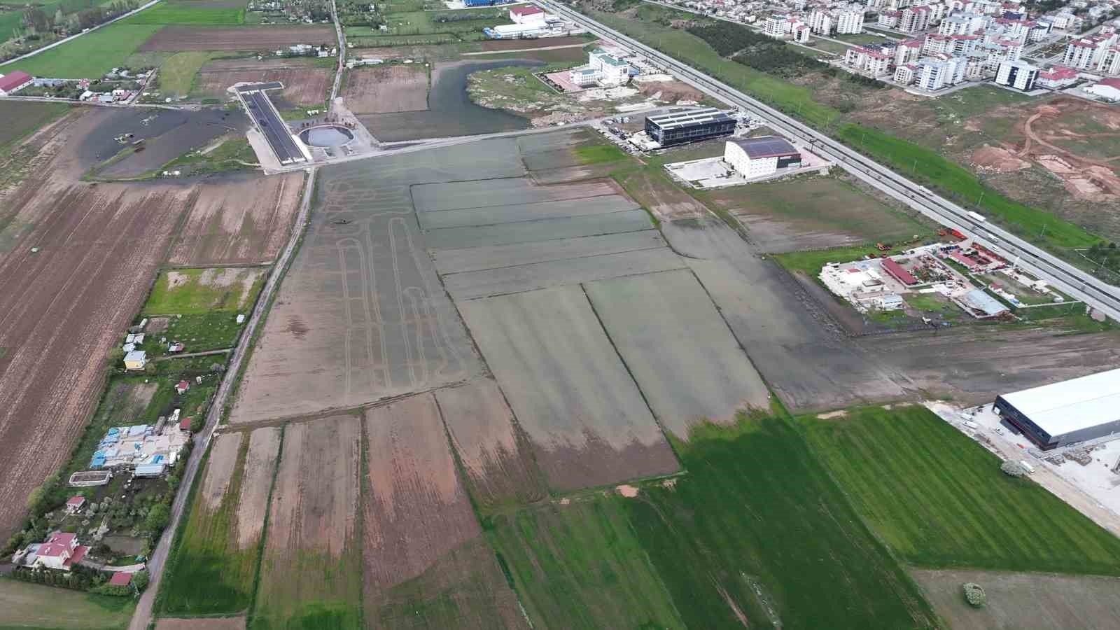 bali degil sivas pirinc degil hububat tarlasi 3 RtC6Y9r4