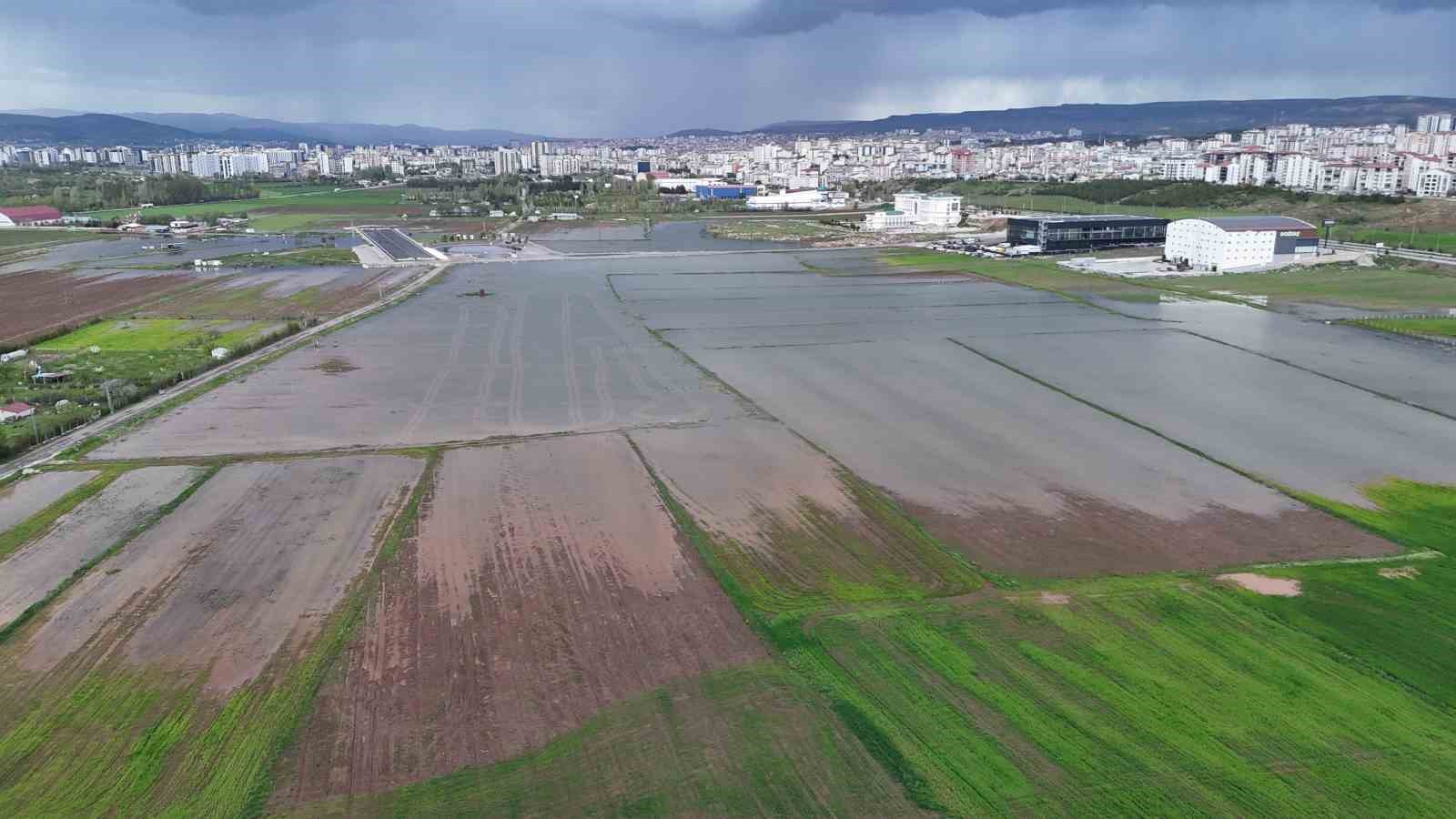 bali degil sivas pirinc degil hububat tarlasi 5 giYBUjnL