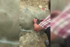 Kars’ta vatandaş yiyecek arayan ayılara türkü söyledi 3 thumbnail