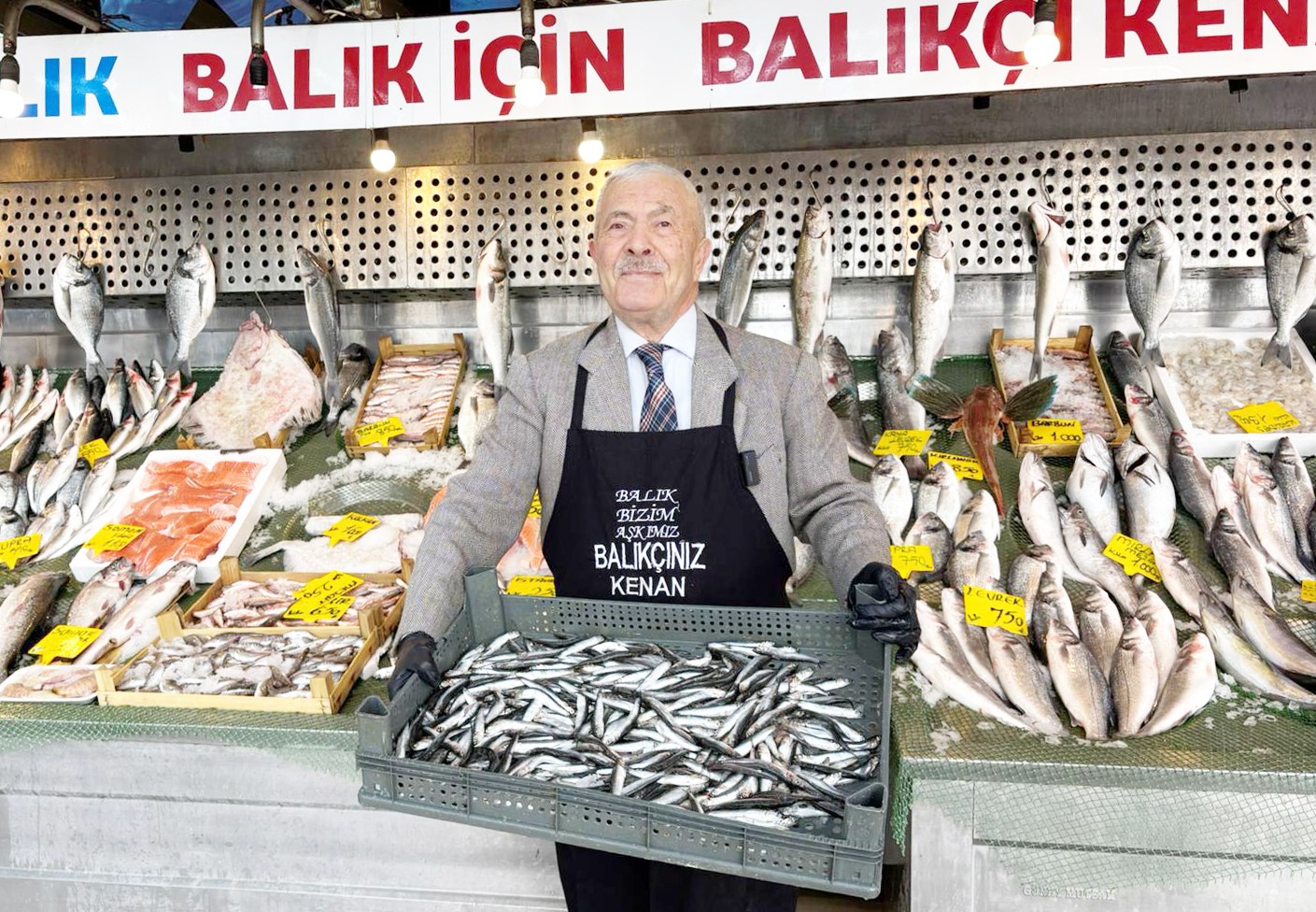 balik sezonu sona erdi balikci kenan hamsiye madalya takti 0 M5eQXHwM