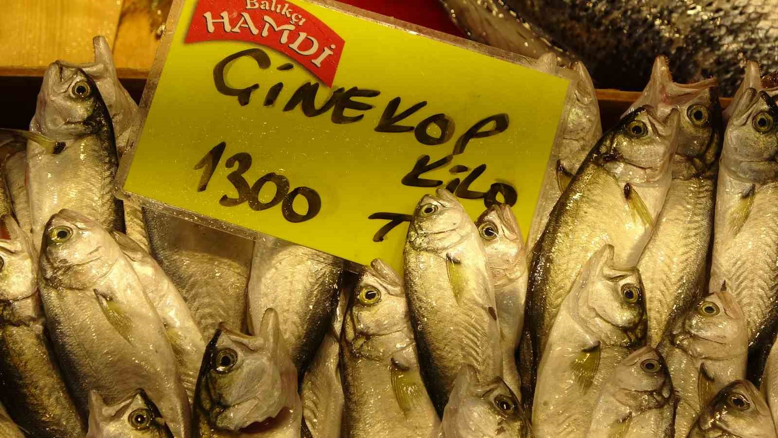 Balık tezgahları kış aylarını aratmıyor 9 balik tezgahlari kis aylarini aratmiyor 5 frYD5zth