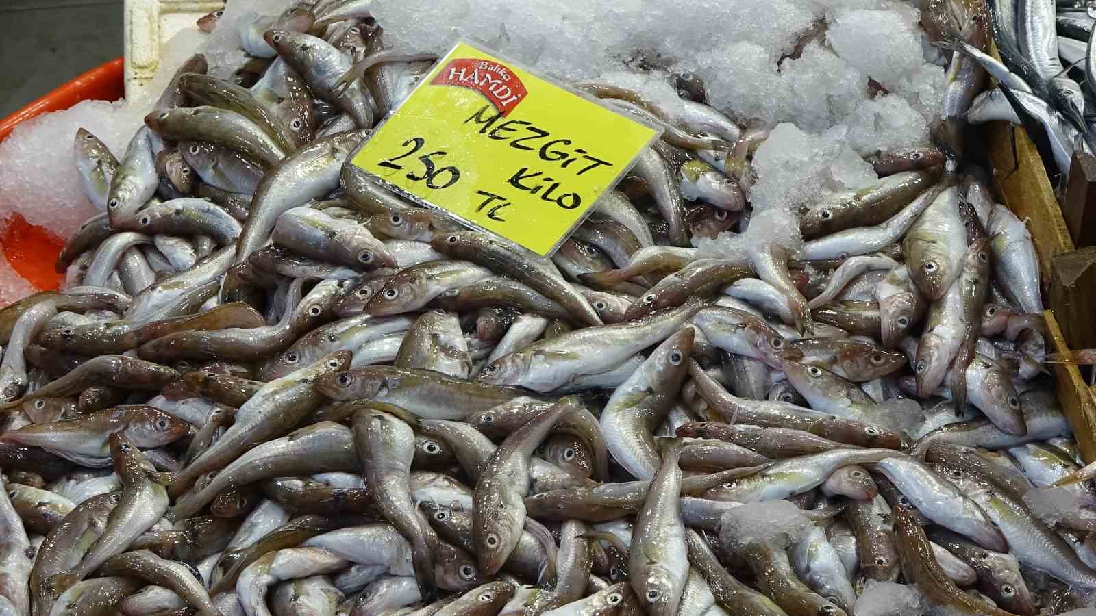 balik tezgahlarinda bolluk yok ama cesit cok 1