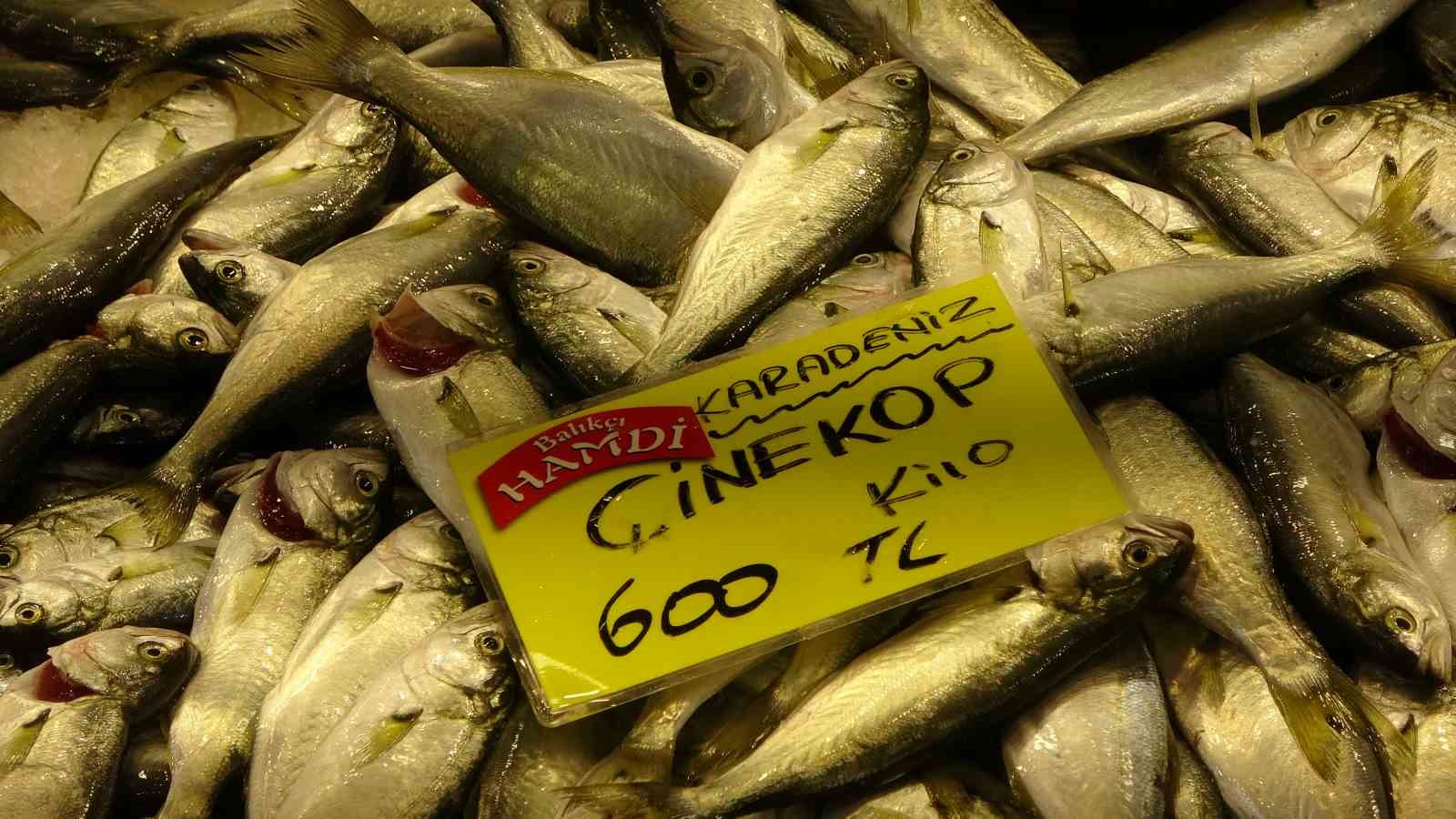 balik tezgahlarinda bolluk yok ama cesit cok 4