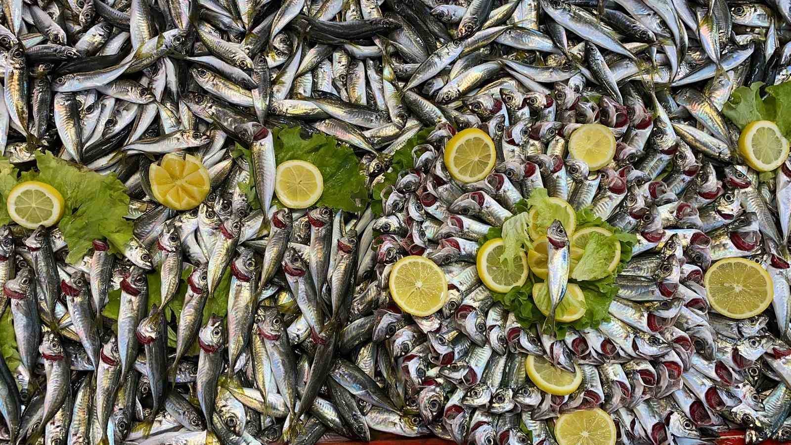 balik tezgahlarinda hamsi yok vatandas diger baliklara yoneldi 3 FDi1ShKp