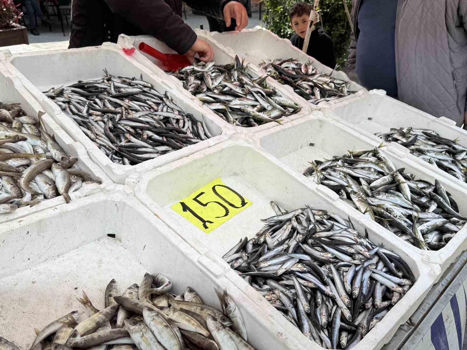 balik tezgahlarinda kiyi balikciligi mesaisi 1