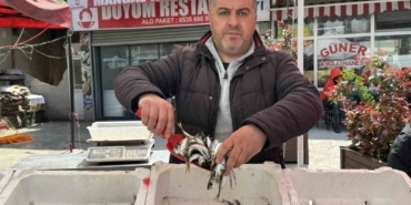 balik-tezgahlarinda-kiyi-balikciligi-mesaisi-6Y3TRNw4.jpg