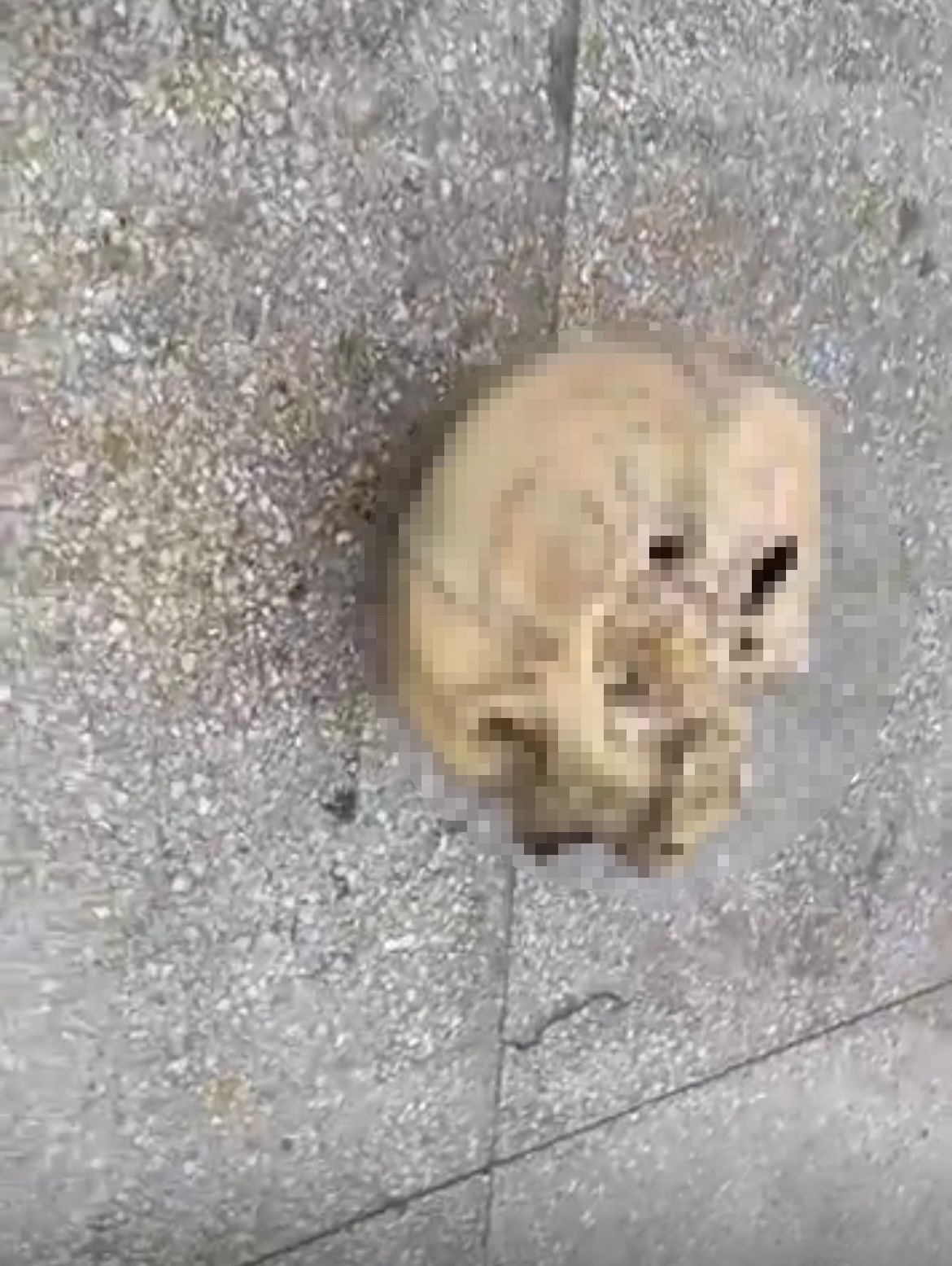 balik tutarken dehseti yasadi oltaya insan kafatasi takildi 4 vQZQEWwH