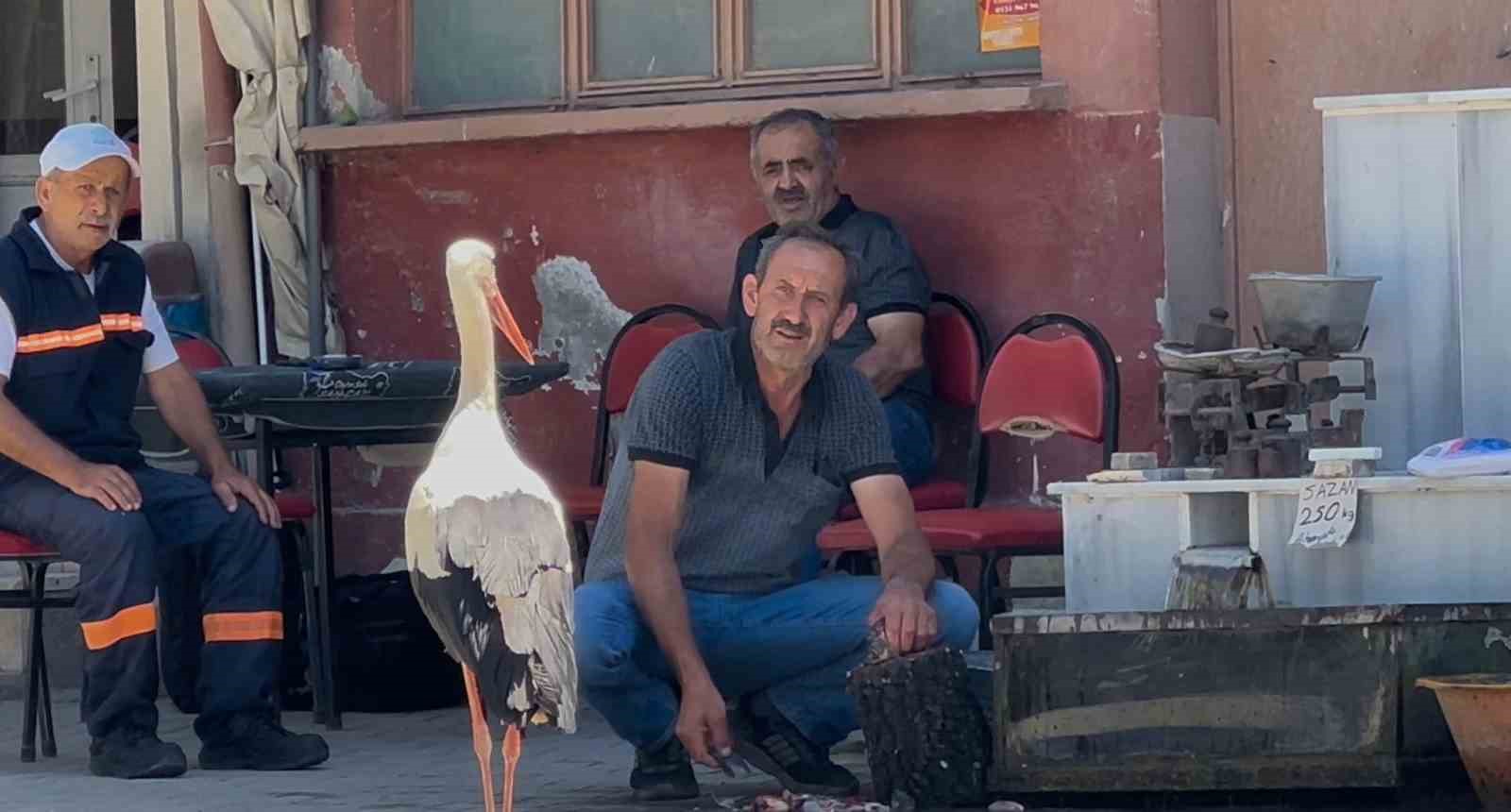Balıkçı Ahmet ile leyleğin 10 yıllık kahvehane randevusu 4 balikci ahmet ile leylegin 10 yillik kahvehane randevusu 0 6mccHbHG