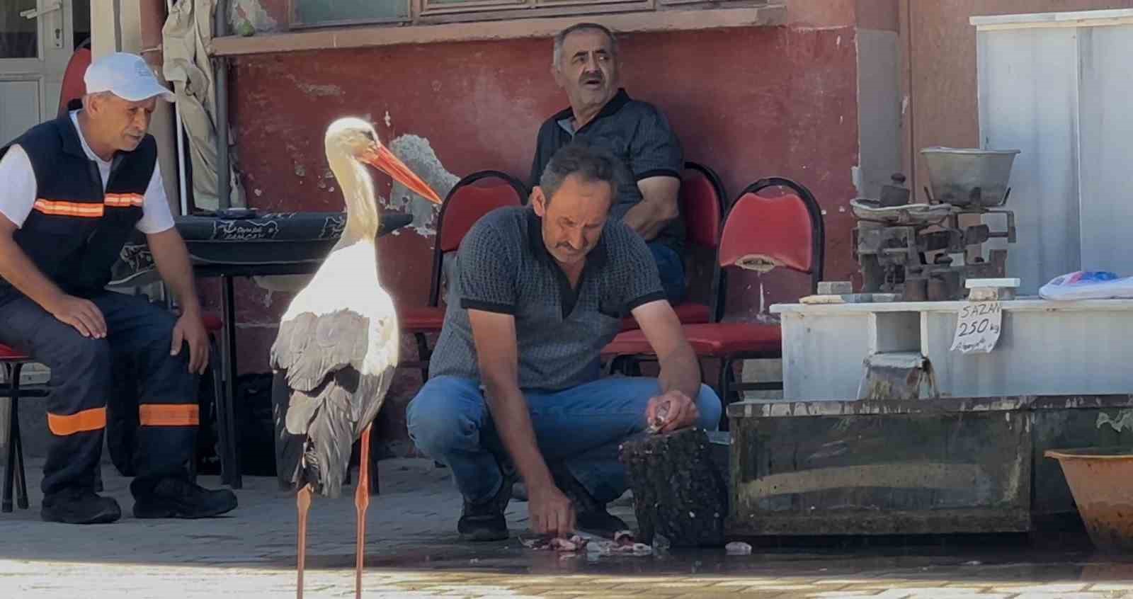 Balıkçı Ahmet ile leyleğin 10 yıllık kahvehane randevusu 5 balikci ahmet ile leylegin 10 yillik kahvehane randevusu 1 FvaThWek