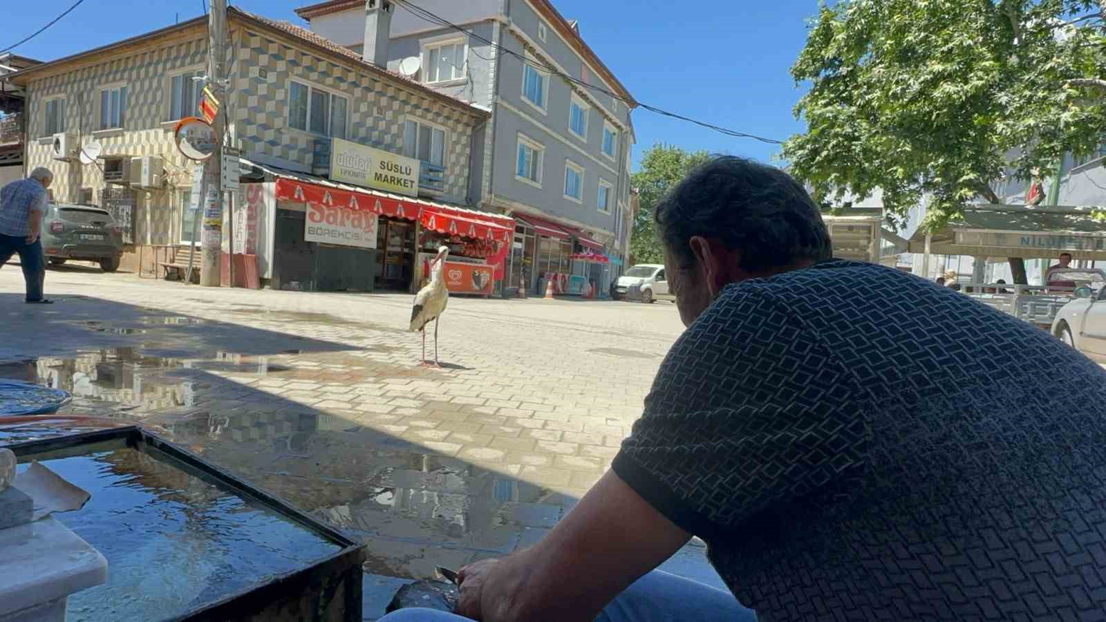 Balıkçı Ahmet ile leyleğin 10 yıllık kahvehane randevusu 6 balikci ahmet ile leylegin 10 yillik kahvehane randevusu 2 5HcYMG2E