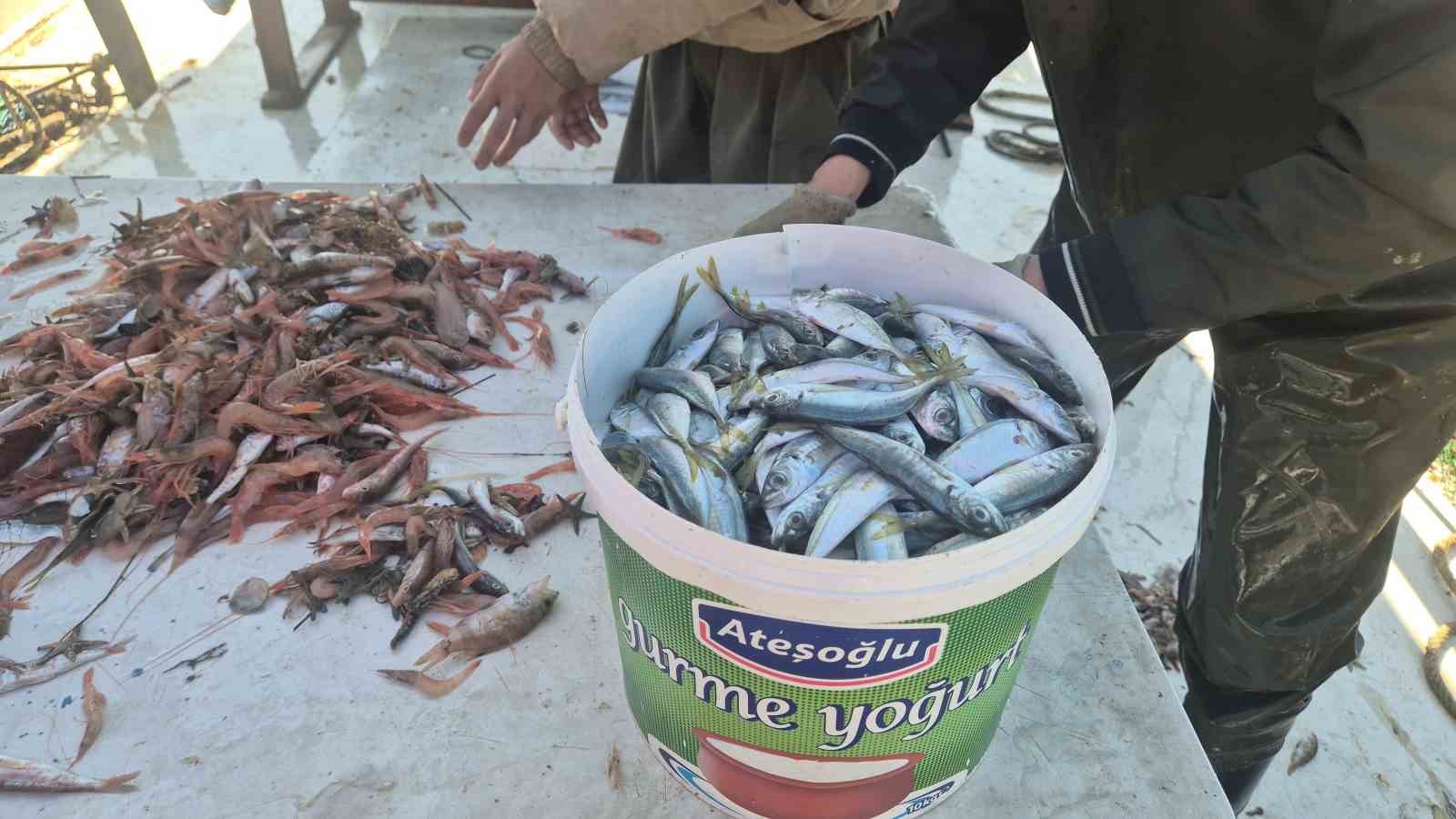balikcilar karides tekir ve istavritle limana dondu 1