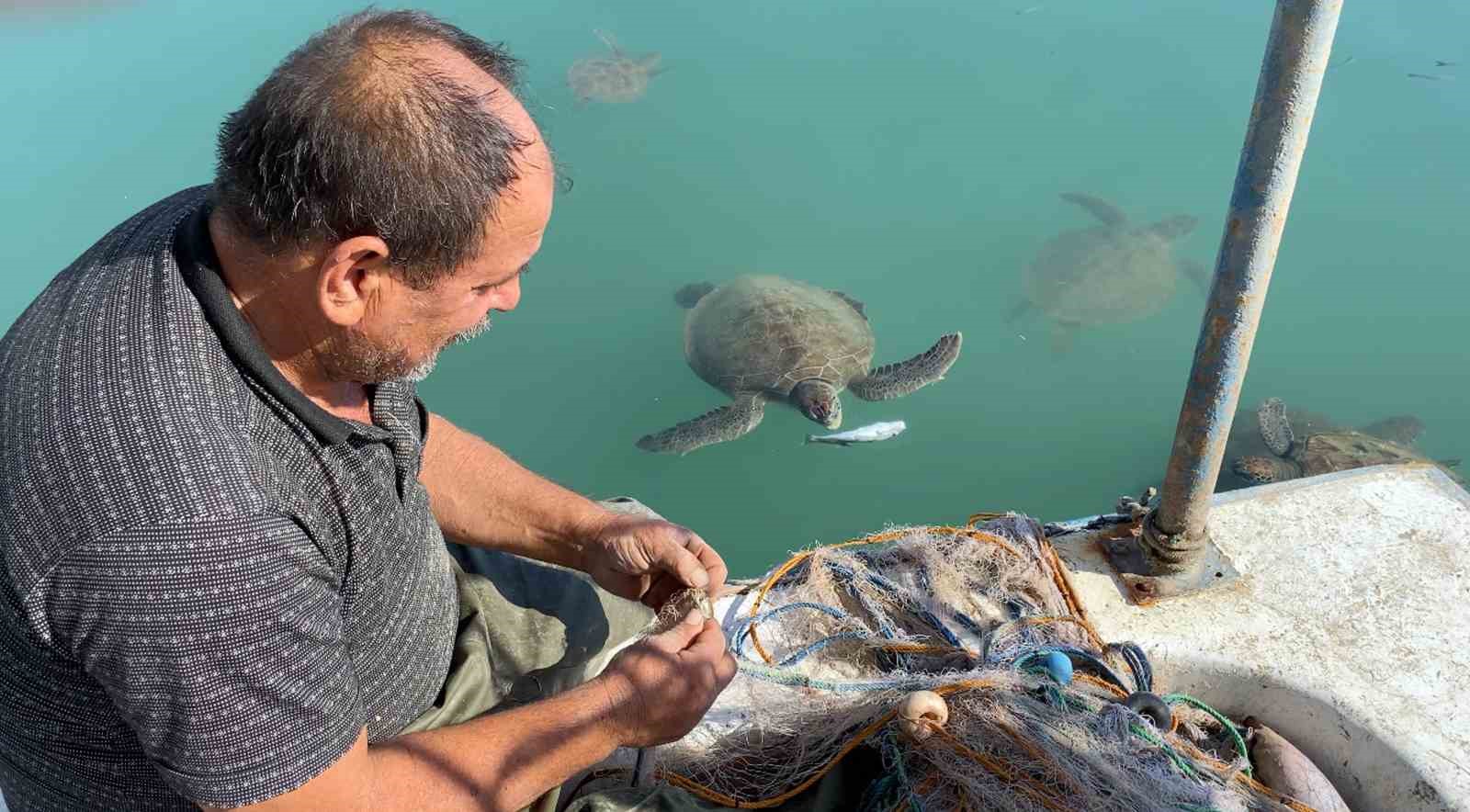 balikcilarin dostu goc etmeyen caretta carettalar limani mesken tuttu 0 JBGLDfza