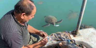 balikcilarin-dostu-goc-etmeyen-caretta-carettalar-limani-mesken-tuttu-lIIDXRB6.jpg