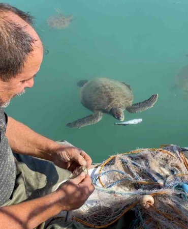 balikcilarin-dostu-goc-etmeyen-caretta-carettalar-limani-mesken-tuttu-lIIDXRB6.jpg