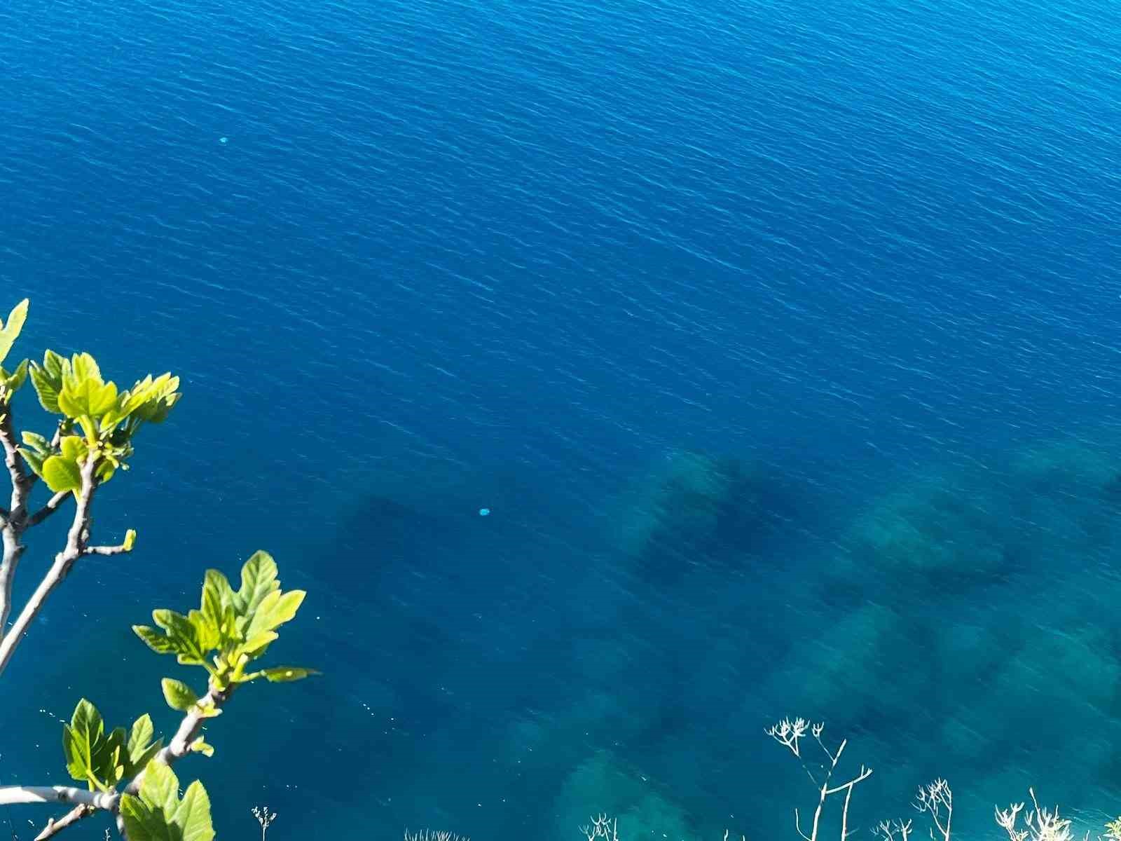 balikcilarin kabusu oldular attiklari aglara yuzlerce dev denizanasi takildi 8 JDrNfsVG