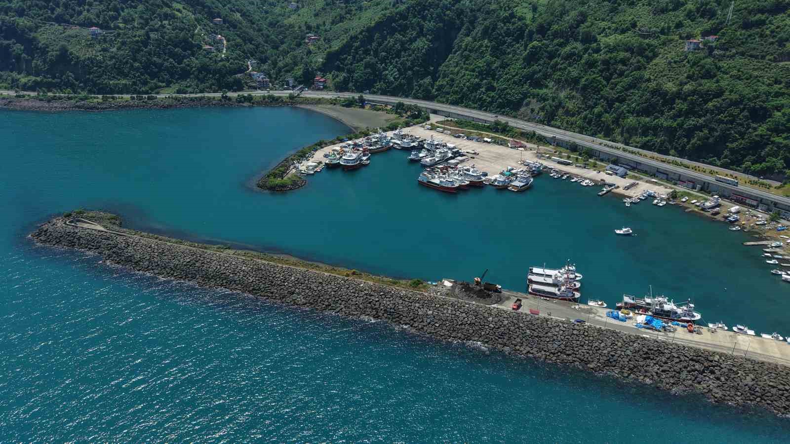 Balıkçıların yeni sezonda umudu palamut 8 balikcilarin yeni sezonda umudu palamut 4 TSFq8T6F
