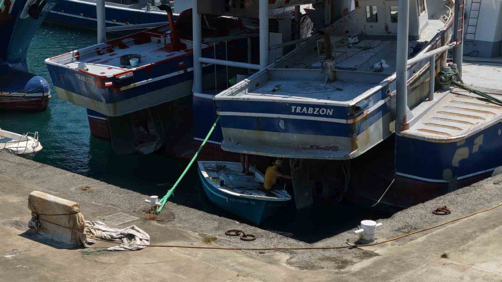 Balıkçıların yeni sezonda umudu palamut 11 balikcilarin yeni sezonda umudu palamut 7 TMBipVFJ
