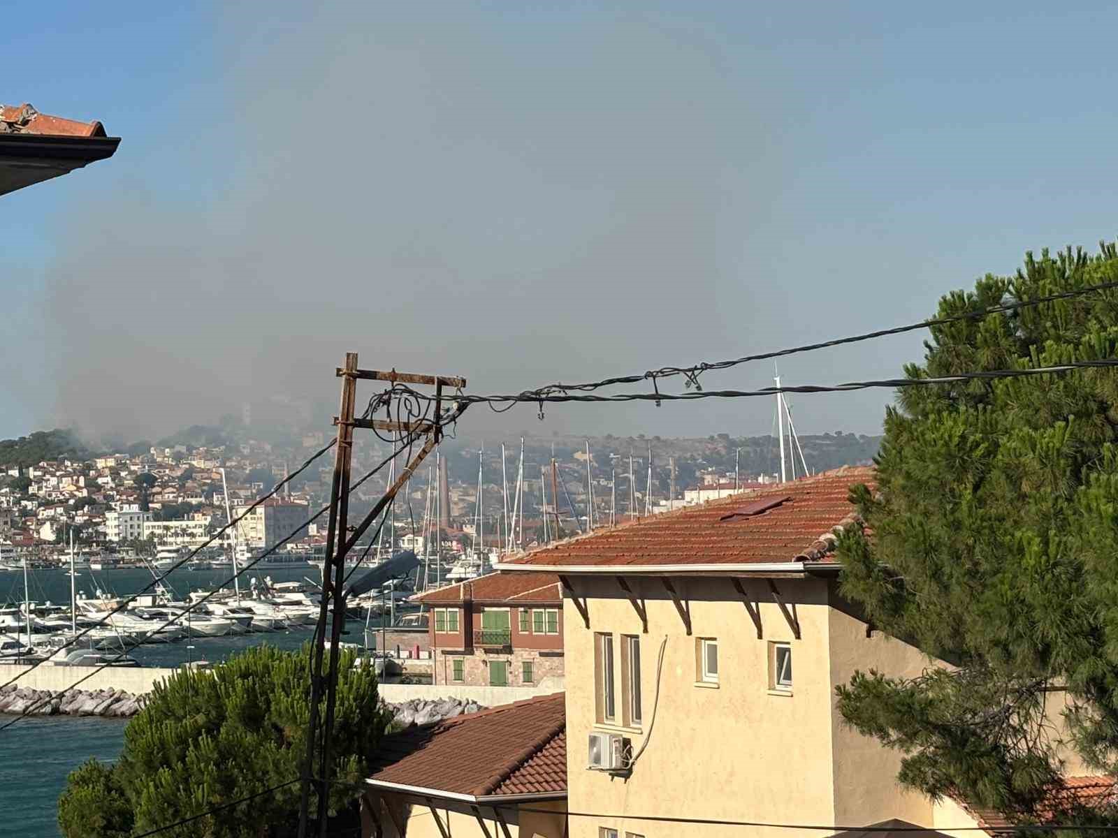 balikesir ayvalikta cikan ortu yangini kontrol altina alindi 5