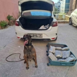 balikesir-polisinden-narkorekor-sO3IShSb.jpg