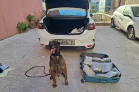 balikesir-polisinden-narkorekor-sO3IShSb.jpg