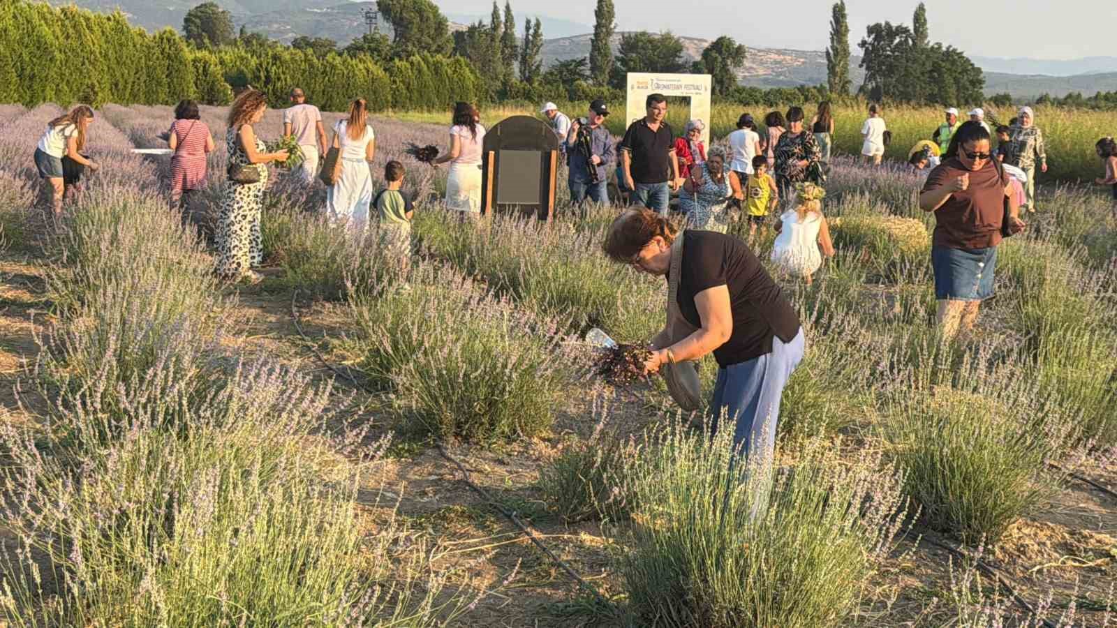 balikesirde 7uluslararasi aromaterapi festivali basladi 5