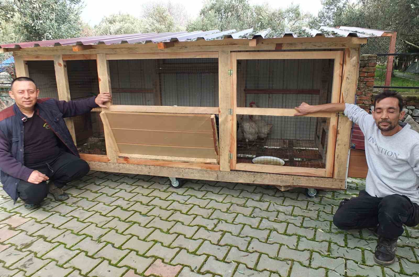 balikesirde bir bakkal gezen tavuk kumesi yapti 3