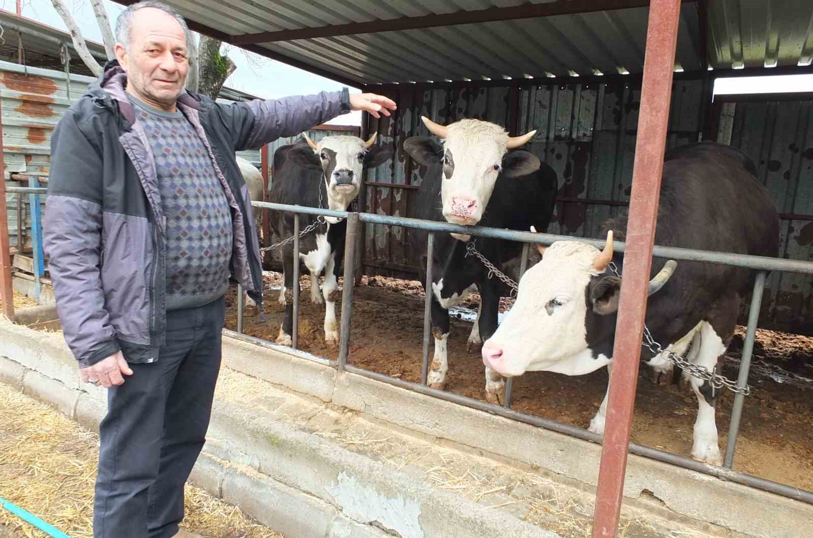 balikesirde kurbanlik satislari basladi 1 7EKsSUNH
