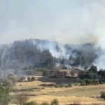 balikesirde-orman-yanginina-mudahale-suruyor-T6MI5E5r.jpg