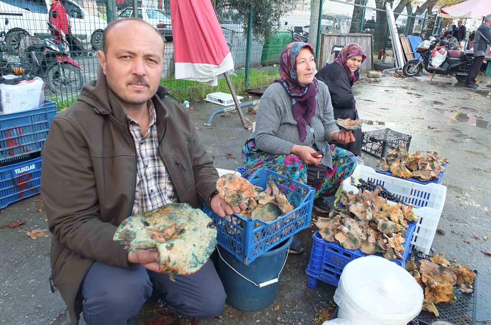 balikesirde yagmur yagdi mantar fiskirdi 2 pySnkqDw