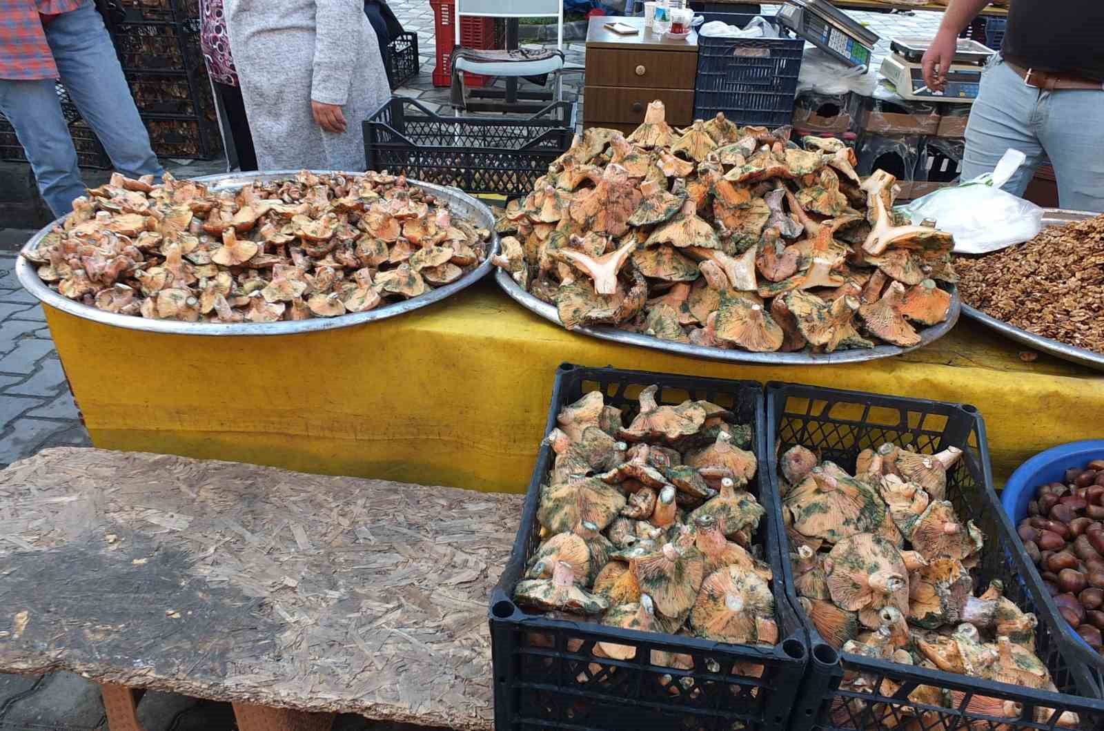 balikesirde yagmur yagdi mantar fiskirdi 4