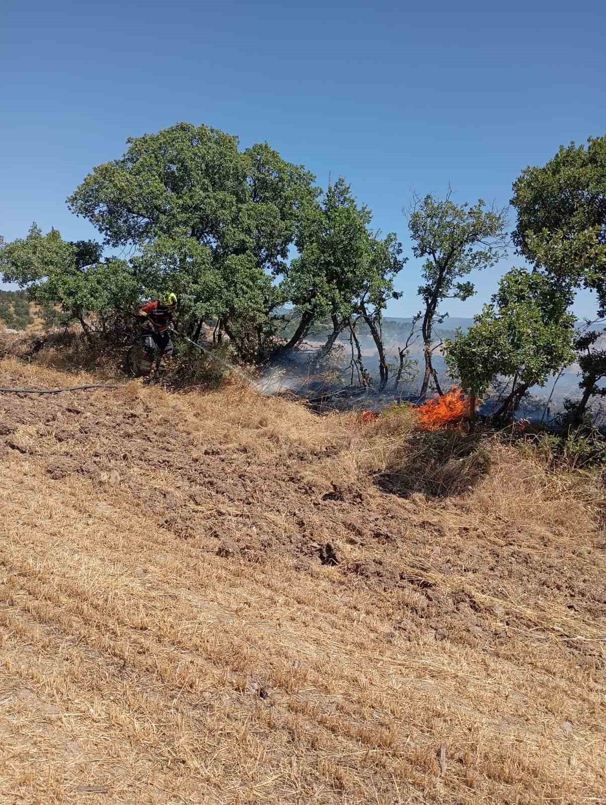 balikesirdeki aniz yangini kontrol altina alindi 2 y8qnLpbu