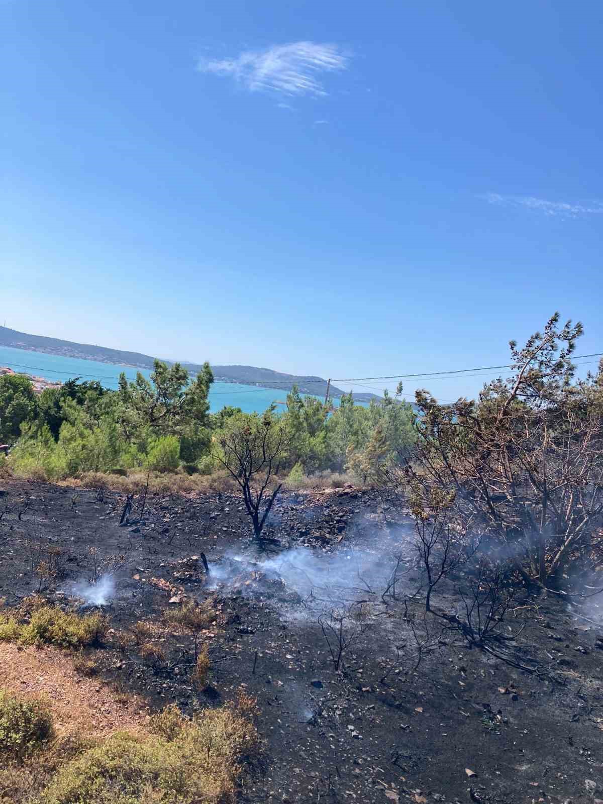 balikesirdeki aniz yangini kontrol altina alindi 4 4tNPrSUM