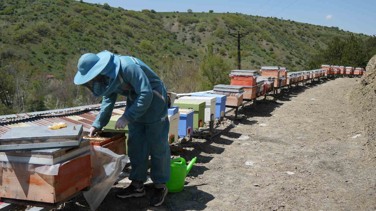 balin kraliceleri bin 200 endemik bitkinin ortasinda yetistiriliyor 350 kolonilik mesai 4 QOGVsdia