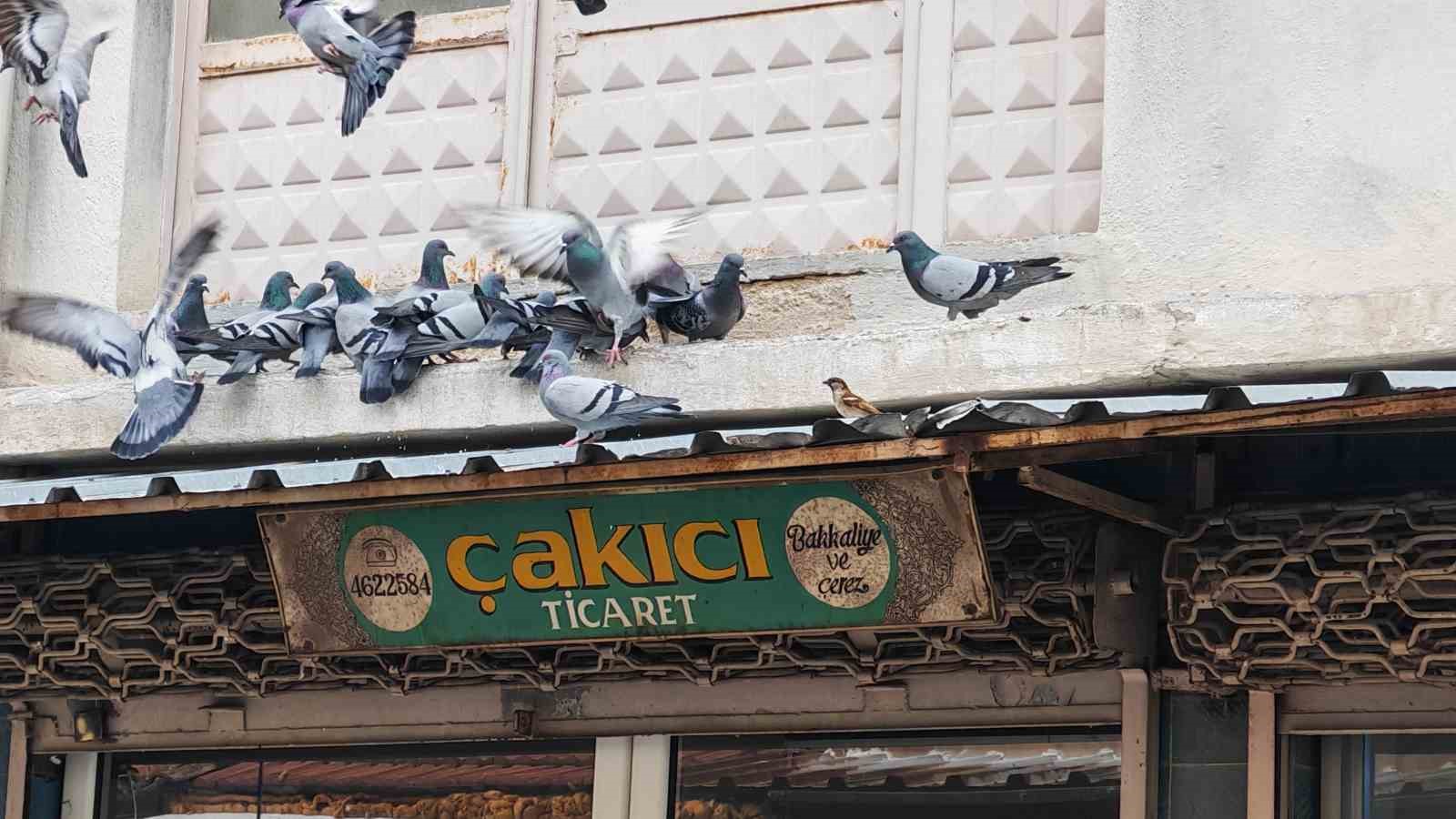 balkonunu kuslara sofra yapti demircili esnaftan ornek davranis 0