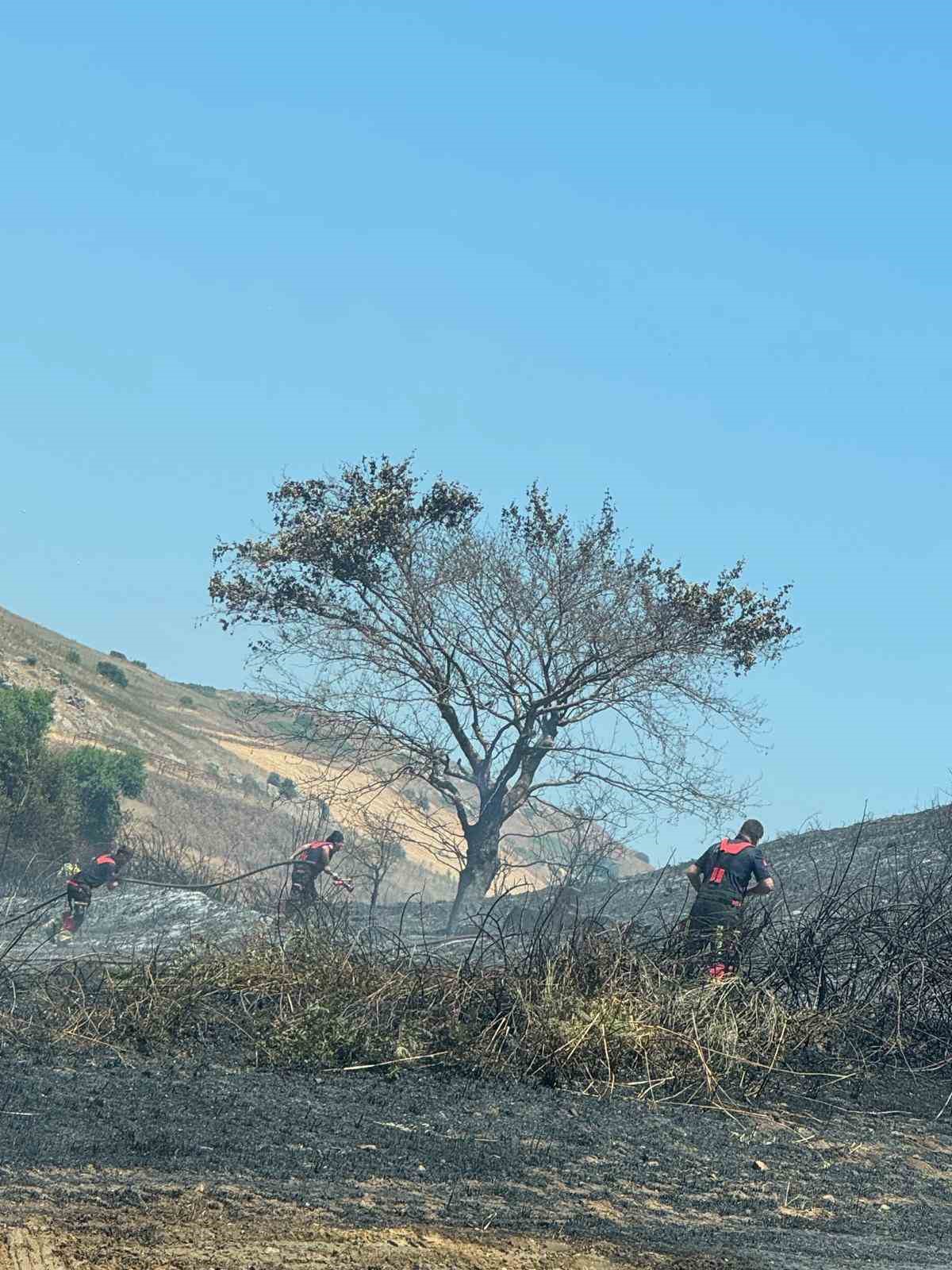 bandirmada 4 ayri noktada baslayan arazi yangini sonduruldu 5 94M45Xpd