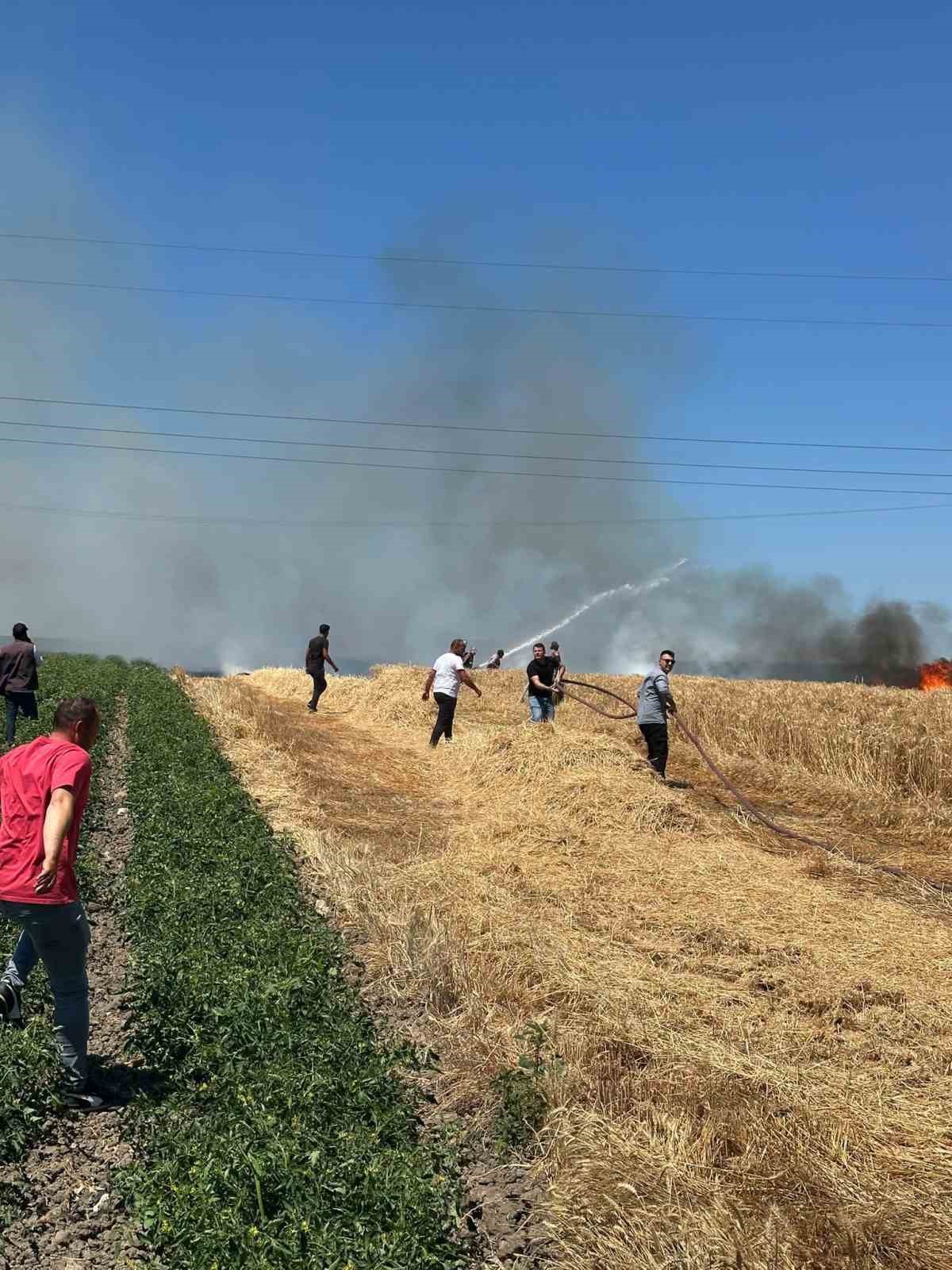 bandirmada aniz ve ekili alanda cikan yangin sonduruldu 2 AqqHqrJz