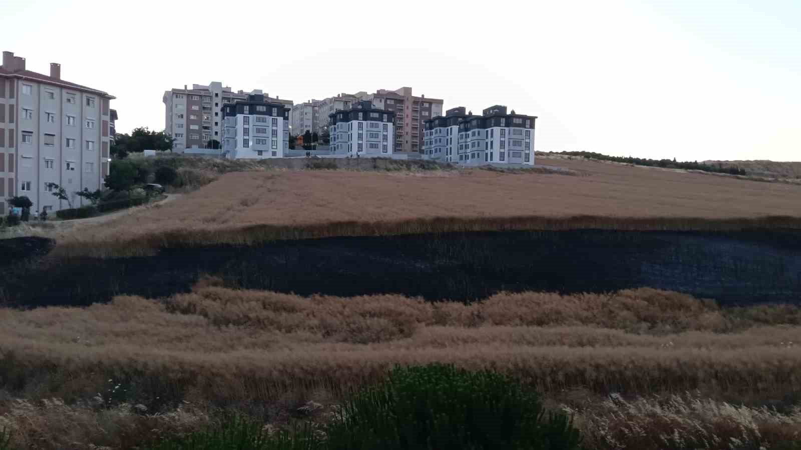 Bandırma’da buğday tarlası yangını korkuttu 5 bandirmada bugday tarlasi yangini korkuttu 1 qDbeZdaj