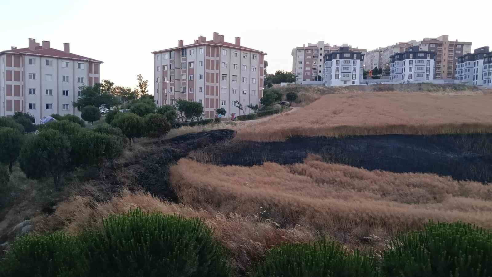 Bandırma’da buğday tarlası yangını korkuttu 8 bandirmada bugday tarlasi yangini korkuttu 4 TLMDnRRY