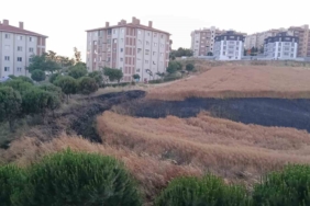 İzmir’de nişan kutlamasında büyük panik: Havai fişek kalabalığın üzerine patladı 2 thumbnail