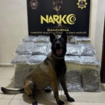 bandirmada-gubre-torbalarinin-altina-gizlenen-112-kilo-skunk-ele-gecirildi-7EJOdwyM.jpg