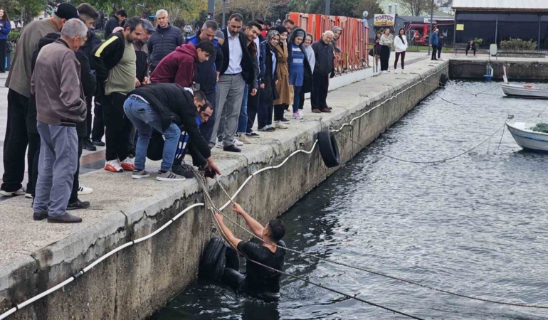 bandirmada-iddiayi-kaybeden-genc-kis-gunu-denize-atladi-LZgdlggF.jpg