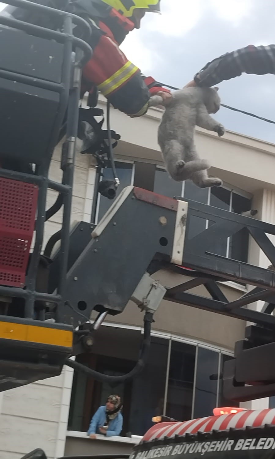 bandirmada yanginda evde uyuyan kadin ve 3 kedi kurtarildi 4